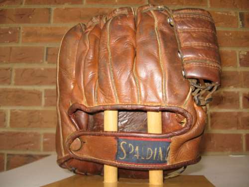 Al Dark Spalding Back